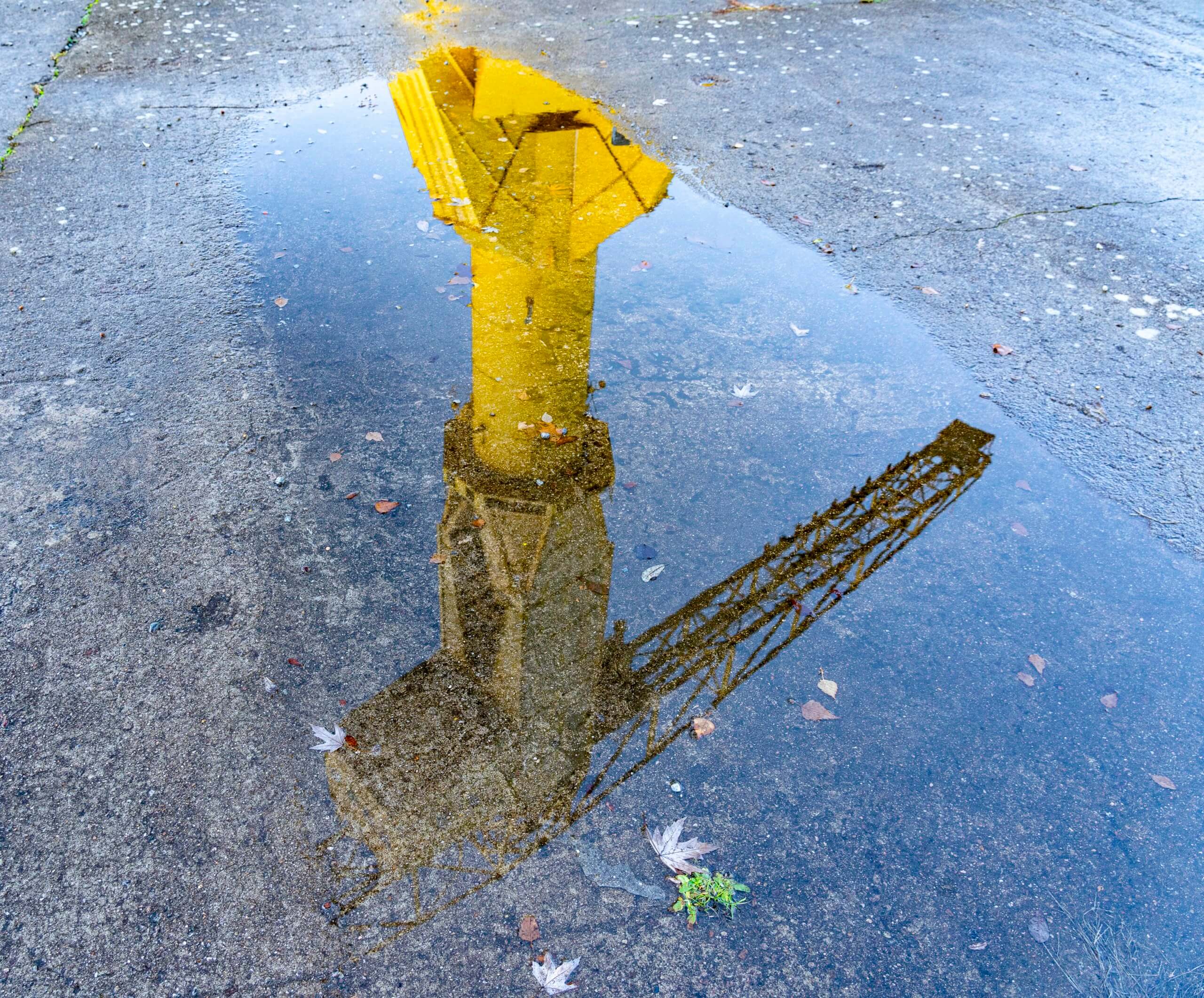 Photo reflet La Grue Jaune Nantes