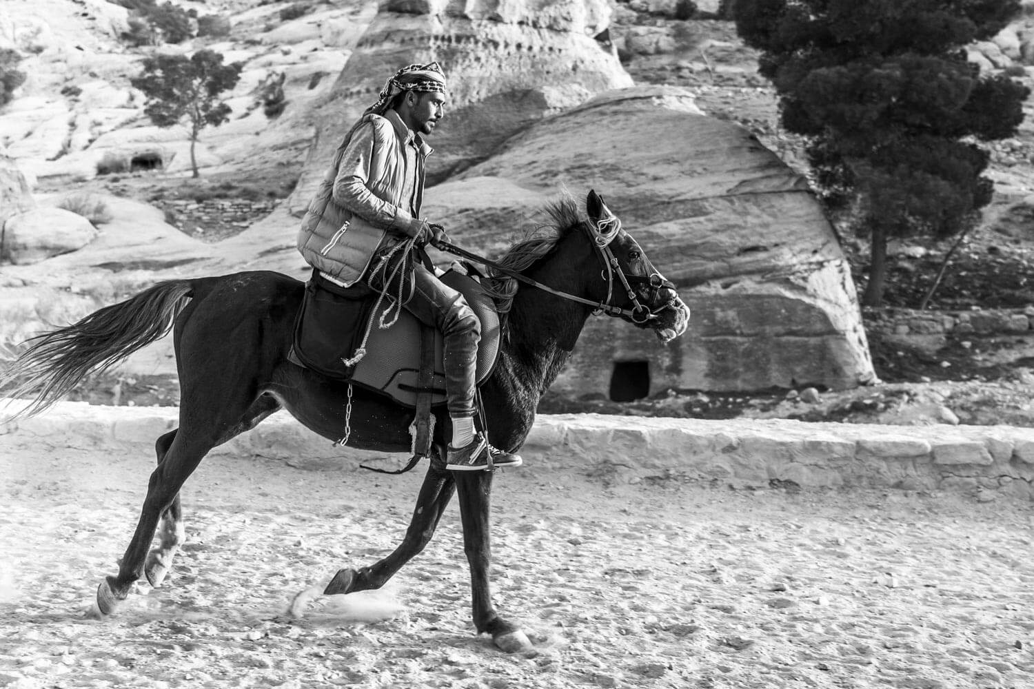 Cavalier, Petra, Jordanie