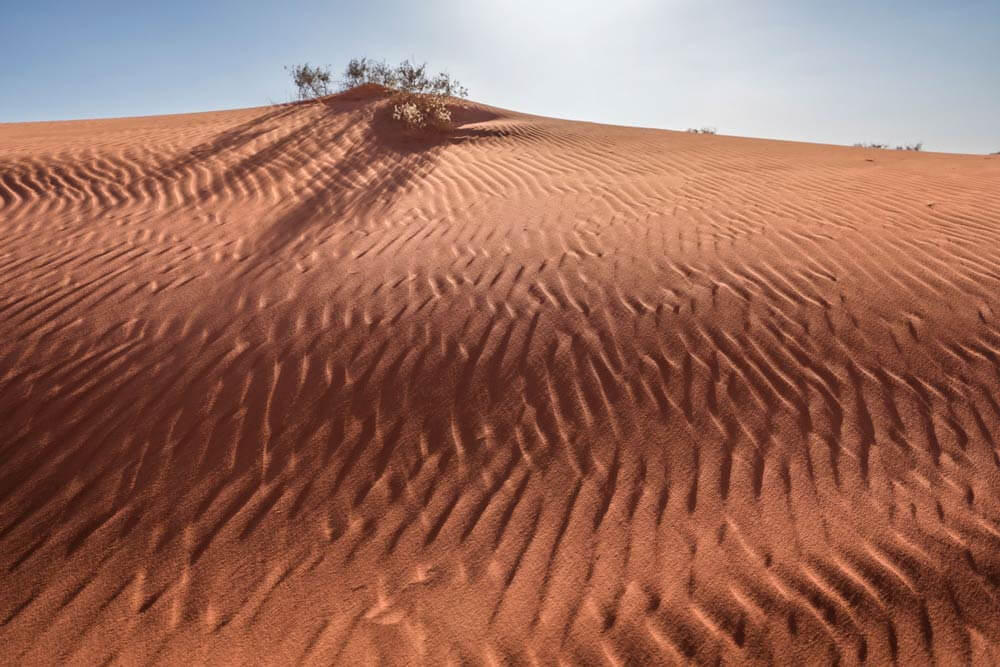 Dune hypnotique, Désert du Wadi Rum, Jordanie