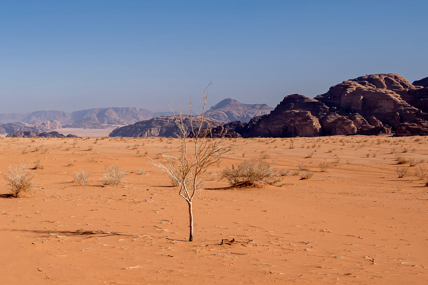 Désert du Wadi Rum, Jordanie