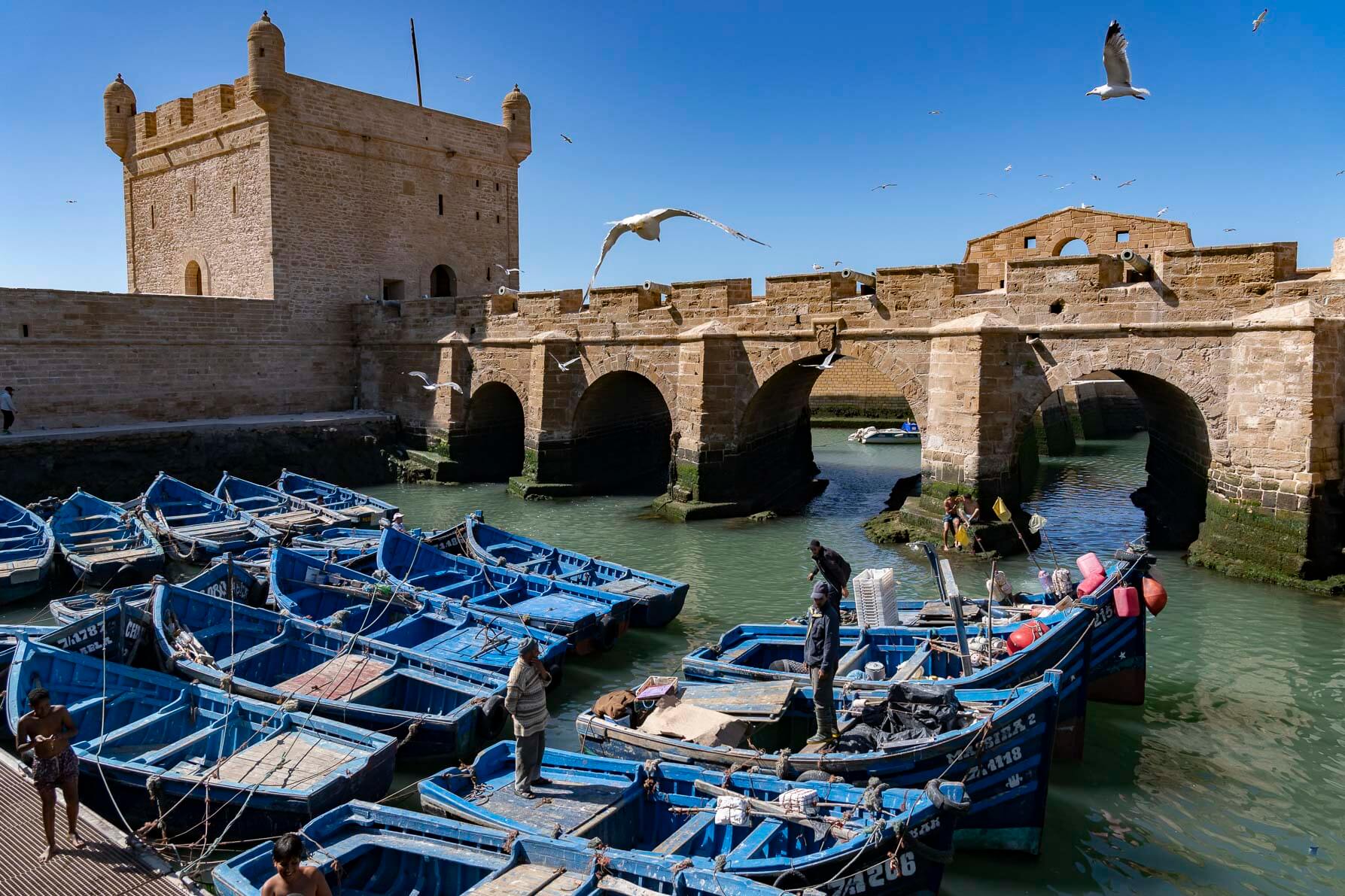 Port de pêche d'Essaouira, Maroc
