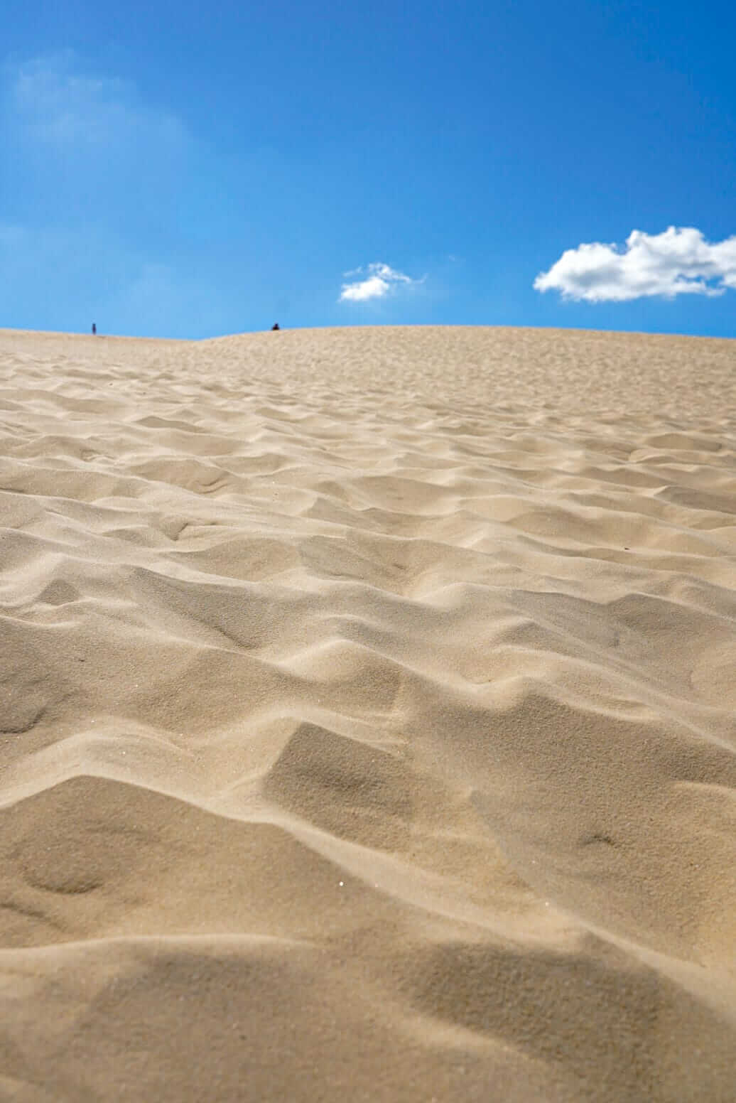 Dune du Pilat, Nouvelle-Aquitaine