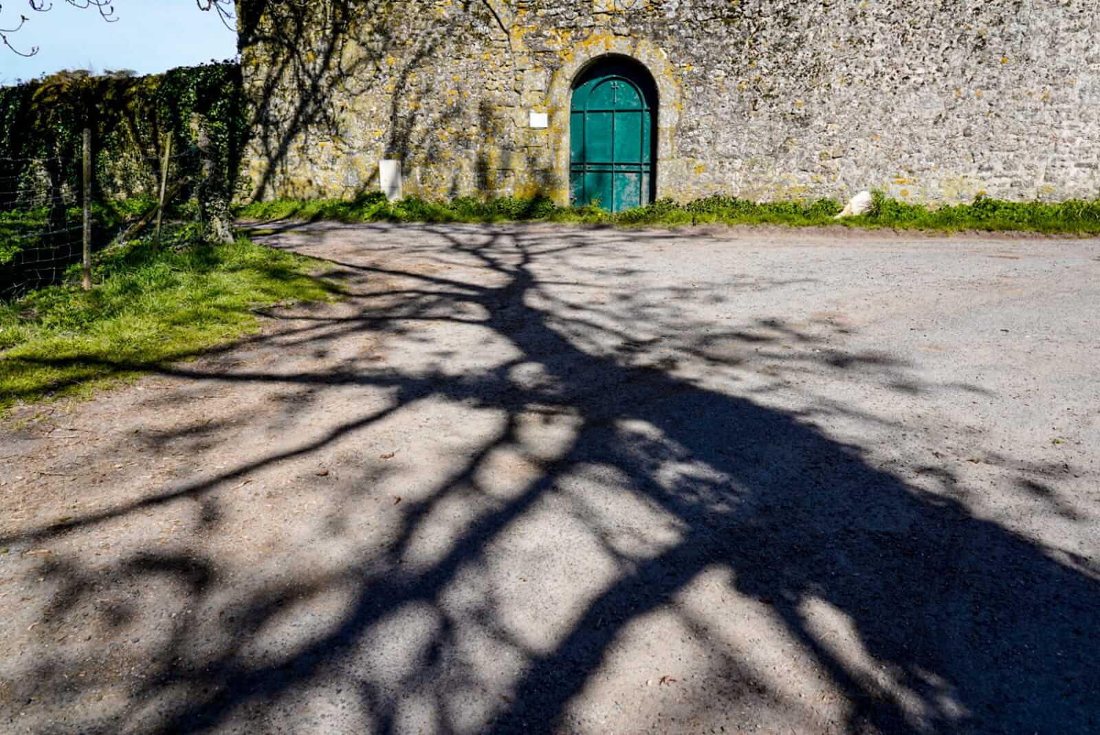 Ombres végétales, Pays de la Loire