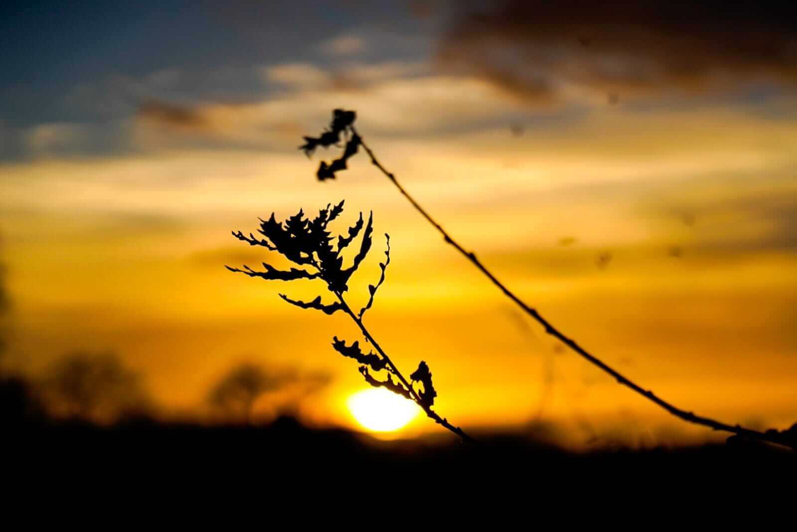 Sunset, Pays de la Loire