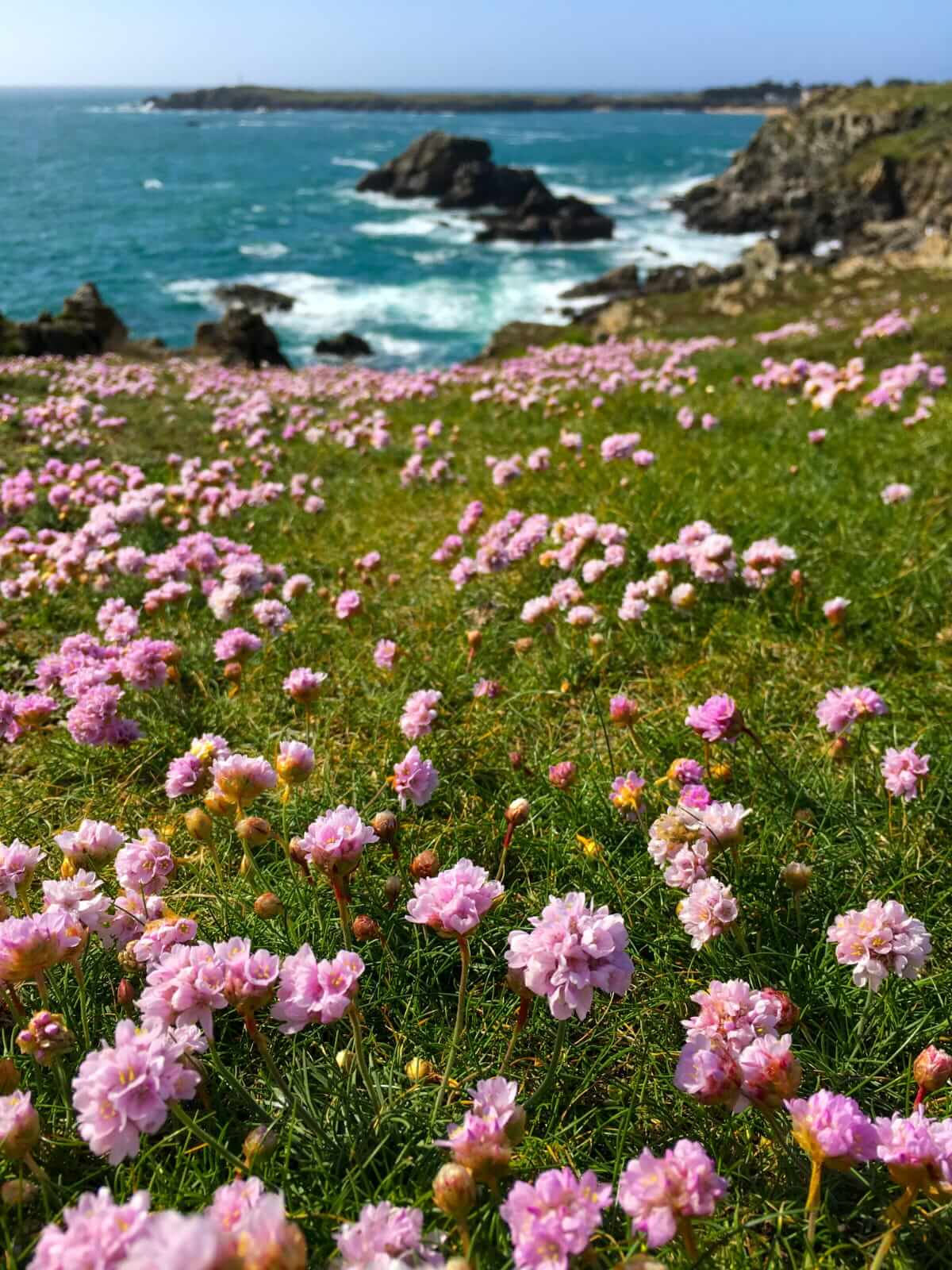 Île d'Yeu, Vendée