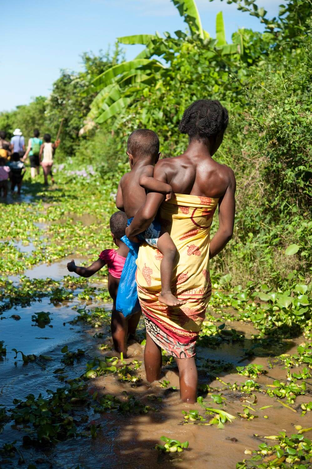 A travers les marécages, Madagascar